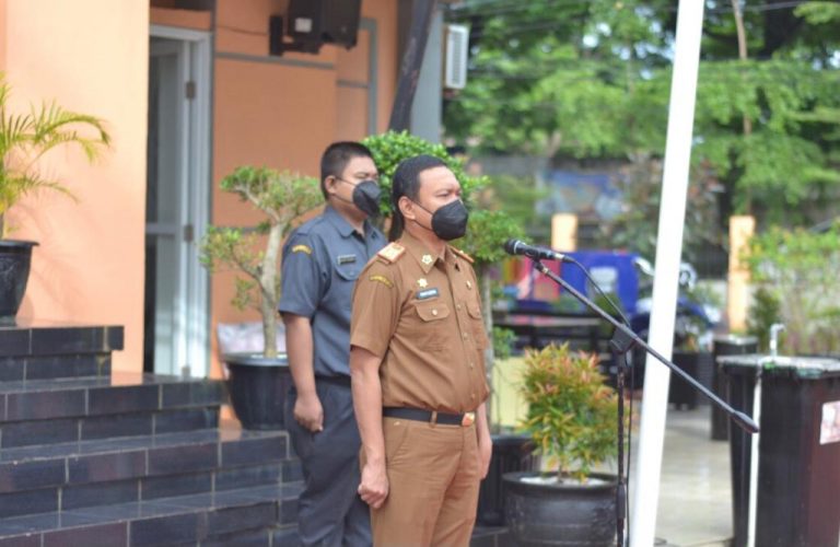 WhatsApp Image 2022-01-03 at 09.17.36